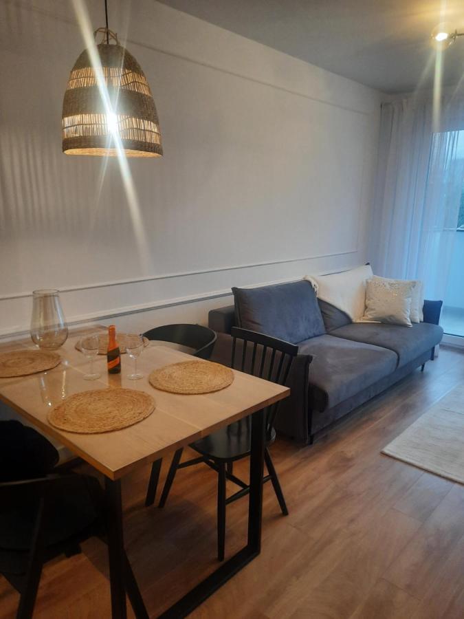 Apartament Centrum Цехоцинек Экстерьер фото